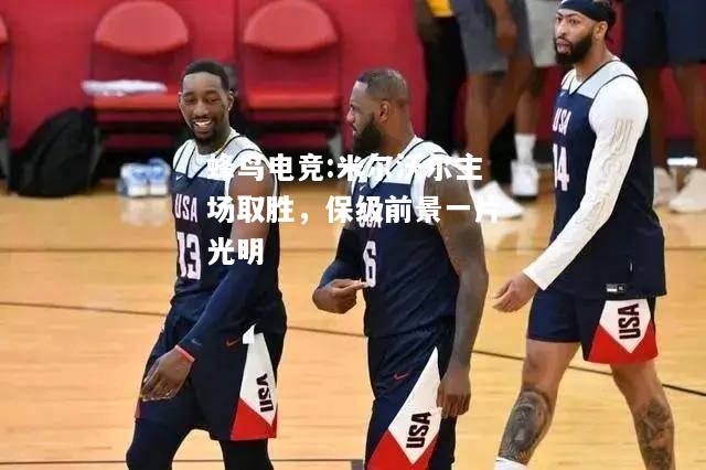 蜂鸟电竞:米尔沃尔主场取胜，保级前景一片光明