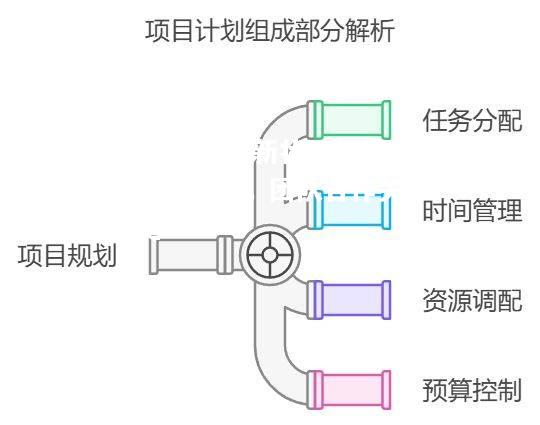 新状元如何统领球队，团队合作关键