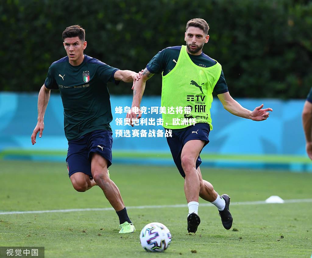 蜂鸟电竞:阿美达将带领奥地利出击，欧洲杯预选赛备战备战